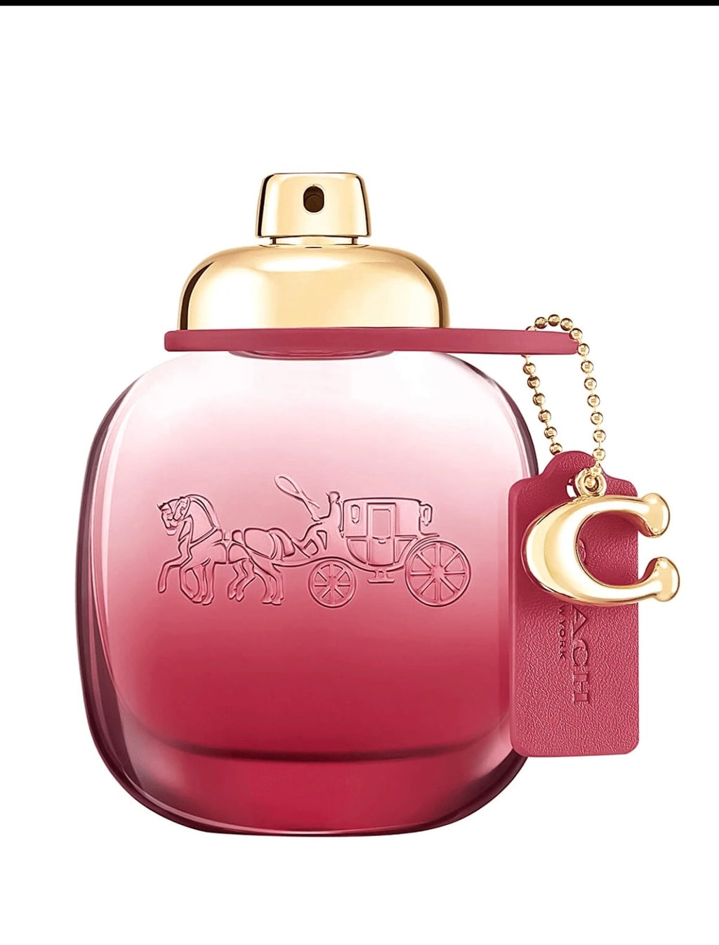 Wild Rose by Coach Decant