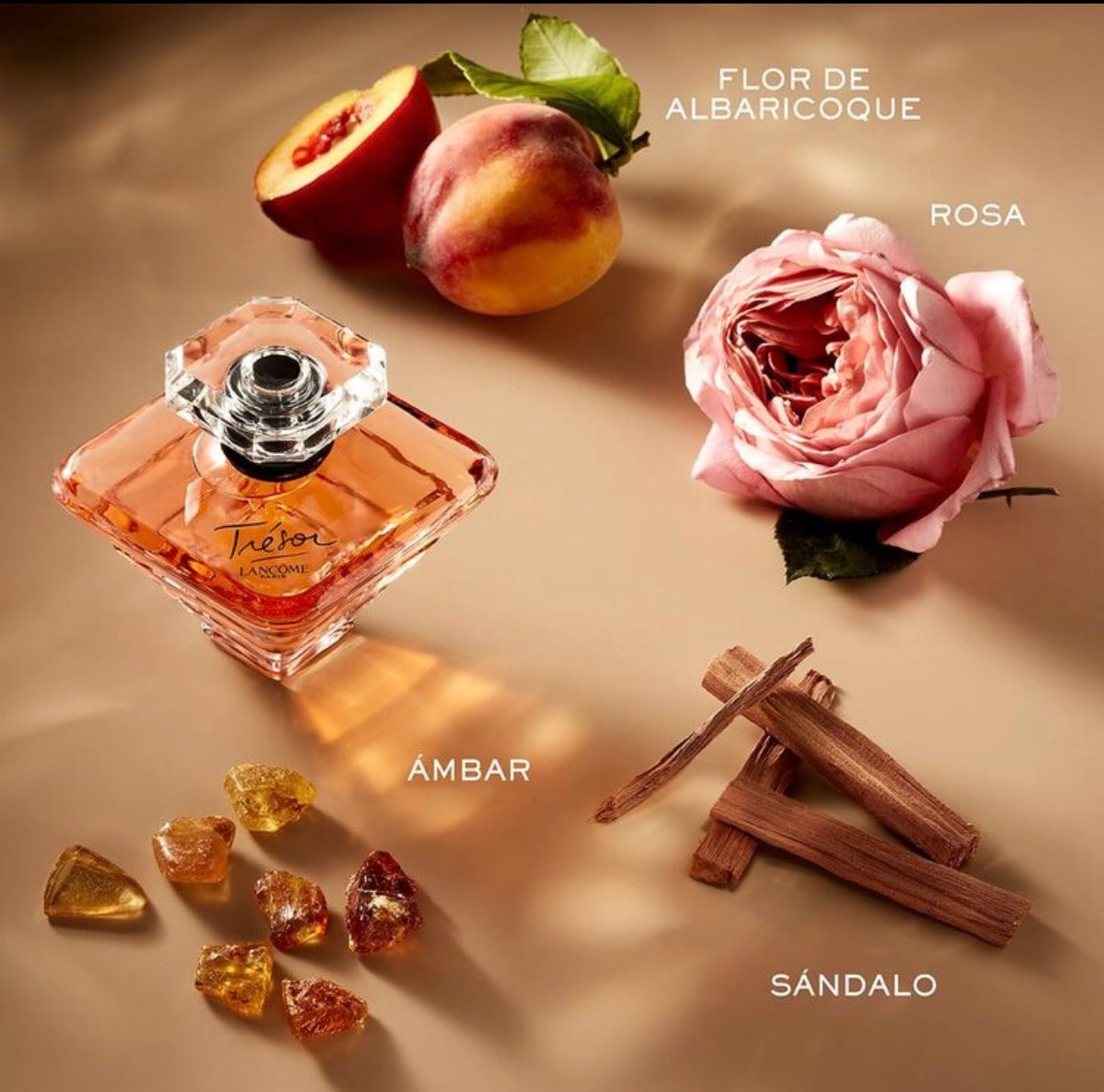 Tresor by Lancôme Decant